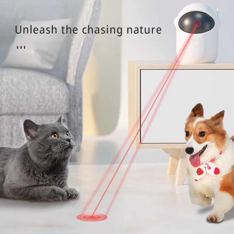 Laser pour chat automatique